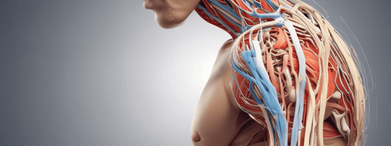 Upper Brachial Plexus Injuries and Rotator Cuff Problems