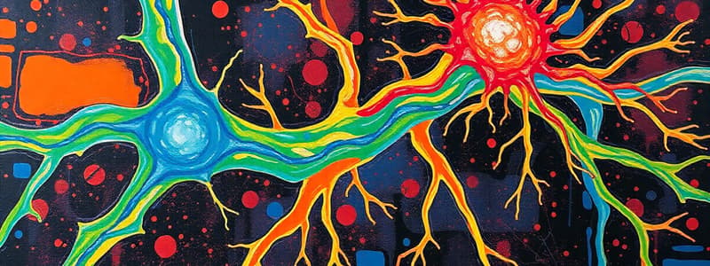 Autonomic Nervous System Structure and Origin