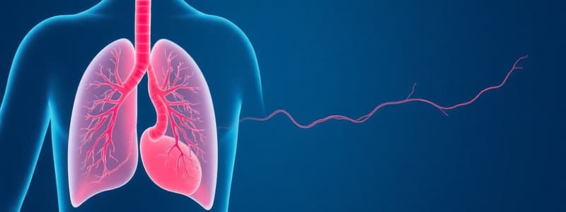 Pulmonary Circulation Quiz