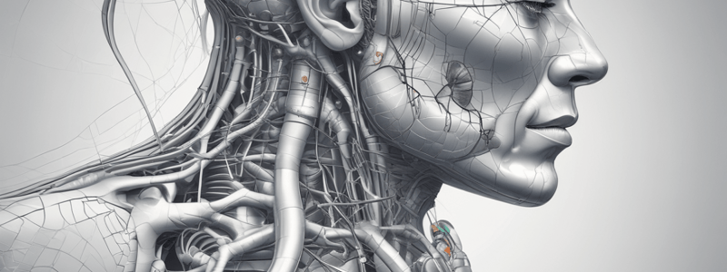 Respiratory System and Pulmonary Function