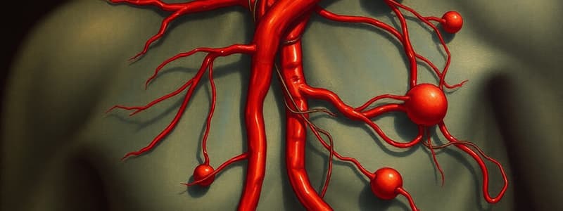 Human Circulatory System Quiz