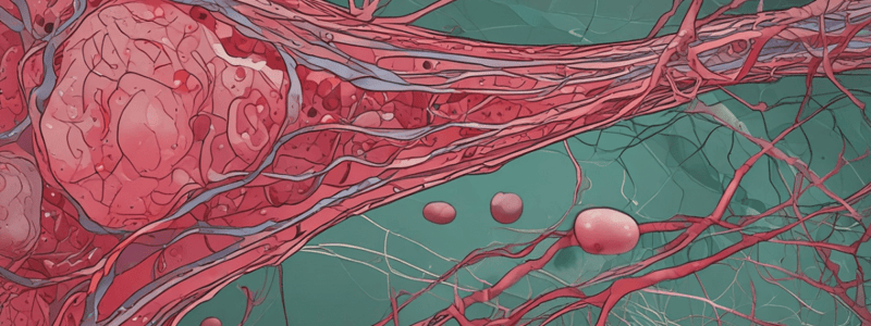 Blood Vessel Structure