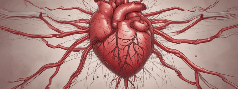 Coronary Arteries and Veins