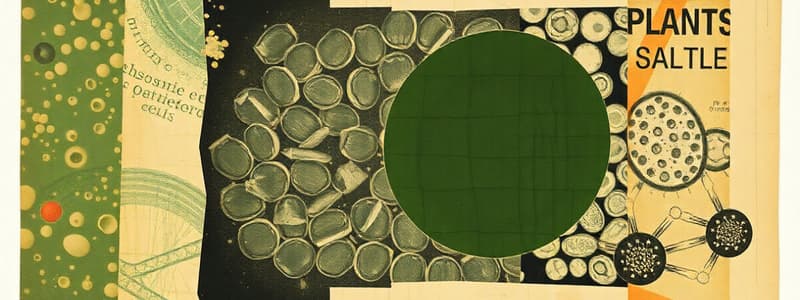 Plant Cell Structure and Components