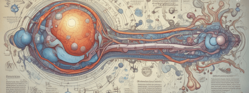 WK 11: Pathophysiology of Type 1 Diabetes