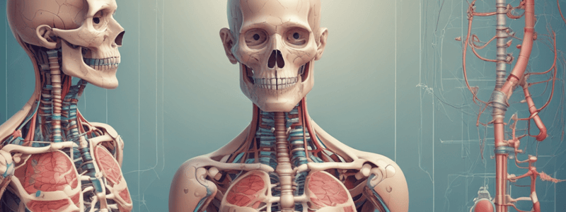 Anatomy and Physiology Assessment