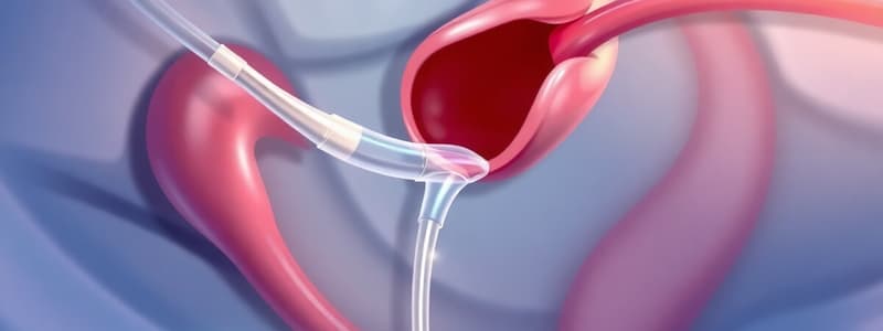 Cateterismo Vescicale: Scopo e Preparazione