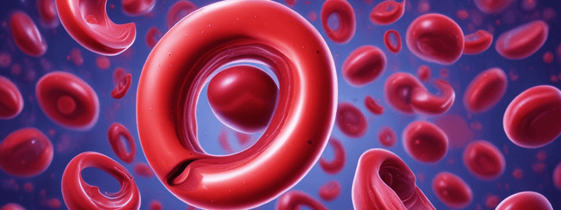 Hemapatology: Red Blood Cell