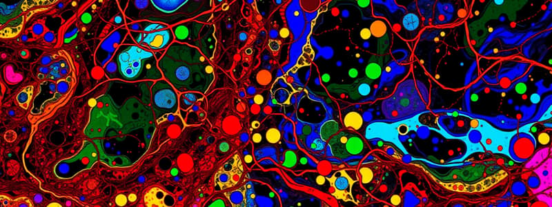 Tema 1 Panorama del Metabolisme Intermediari