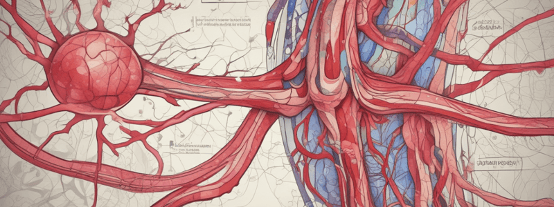 Vascular Disease