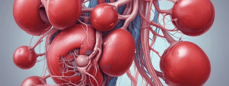 Structure and Functions of the Urinary System Quiz