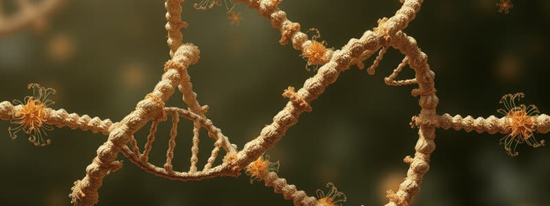 Structure of Chromosome