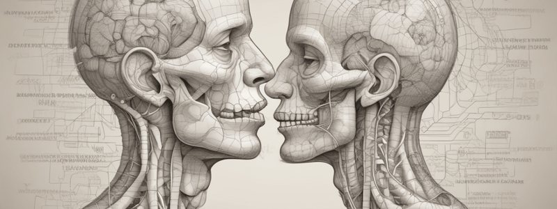 Respiratory System Anatomy Quiz