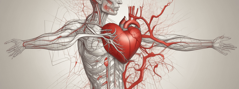 Physiology: Cardiovascular