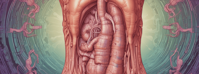 Ocluzia intestinală și afecțiuni similare