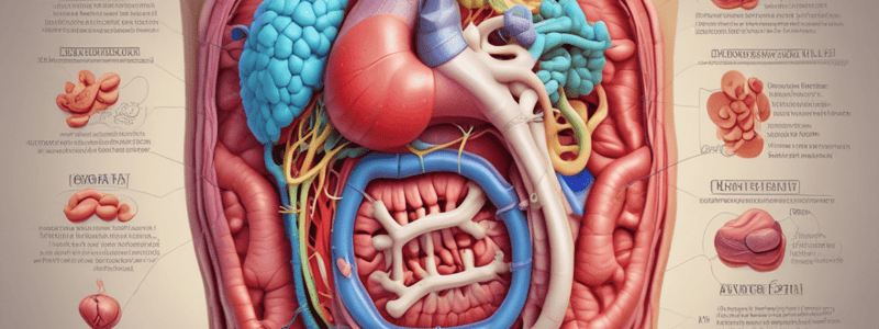 Digestive System Structures and Functions Quiz