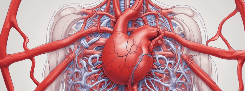 Cardiovascular System