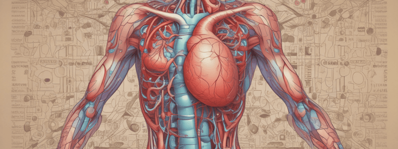 Pharmacology of Peripheral Vasodilators