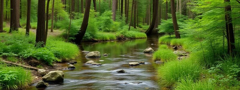 Water and Forests Quiz