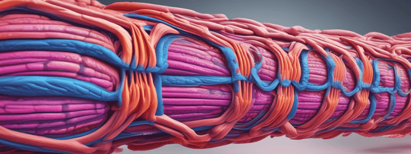 Muscle Physiology and Mass vs. Weight Quiz