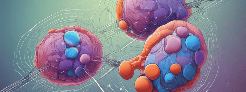 Cell Division in Biology