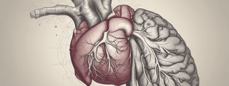 Upper GI Anatomy