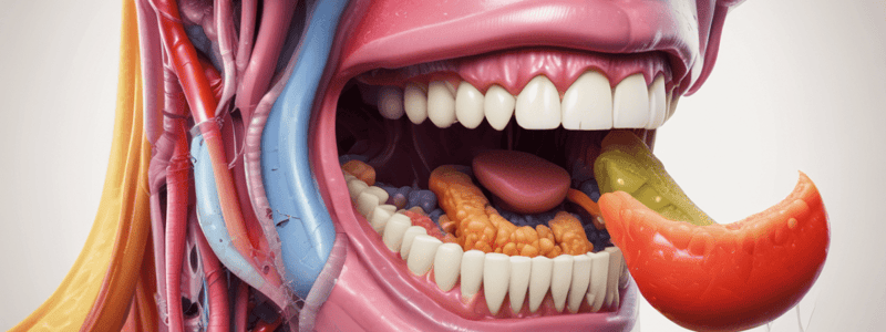 Appetite Control and Oral Cavity Anatomy