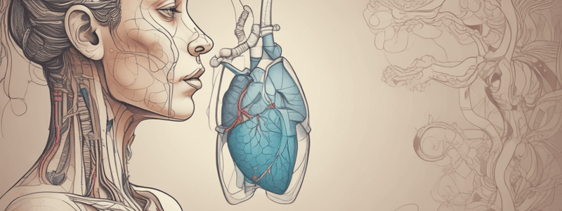 Respiratory System: Gas Exchange and Cardiovascular Link