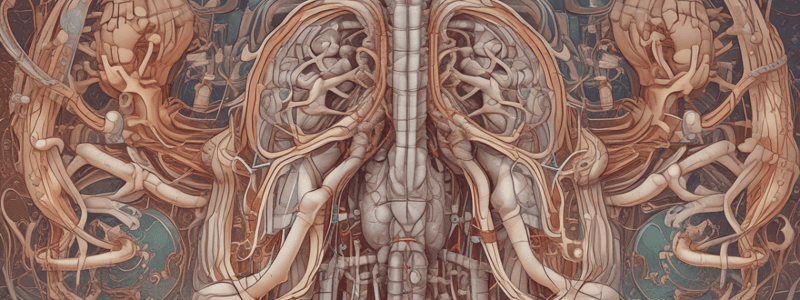 Pulsus Paradoxus: Blood Pressure and Respiratory Physiology