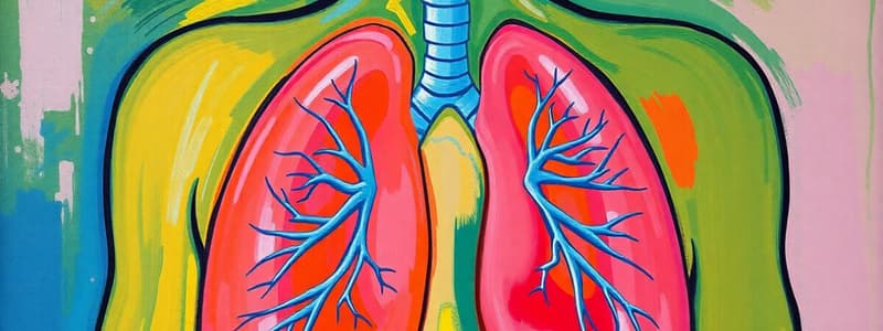 Respiratory System Overview