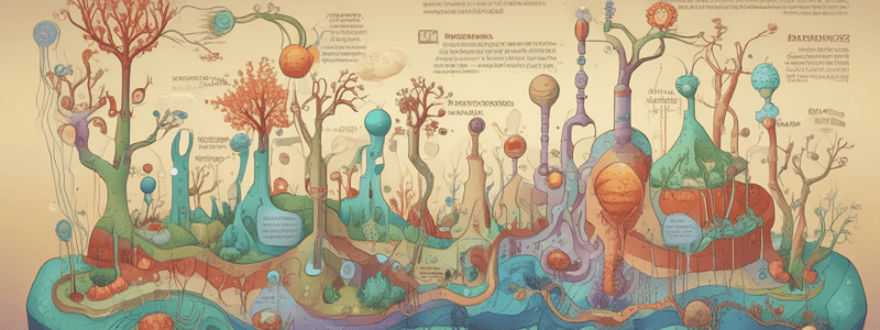 Gluconeogenesis Pathway and Reactions