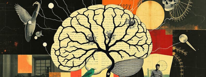 Organization of the Nervous System