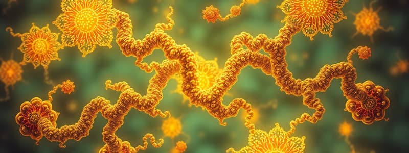 Enzymology Quiz: Understanding Enzyme Functions