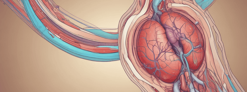 Emergencias Sanitarias: Anatomía y Fisiología del Aparato Urinario