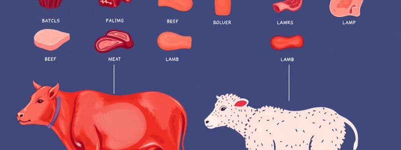 Meat Types and Composition