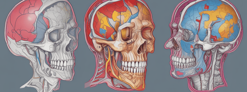 CT Scan Purpose and Technique