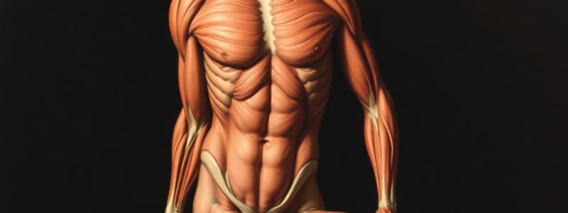 Muscle Types and Disorders Quiz