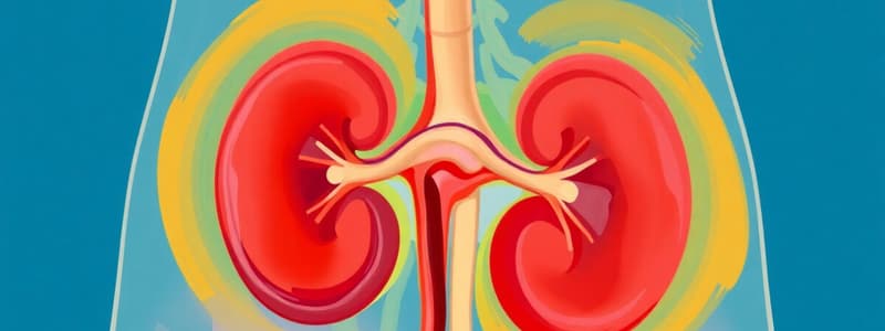 Nephron Function and Urine Composition