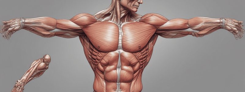 Anatomy of the Pectoral Region and Axilla