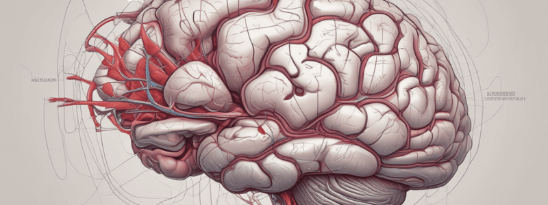 NSU Dr.Kiran C.Patel COM Brain & Nervous System Quiz