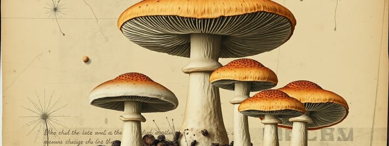 Mushroom Classification and Structure