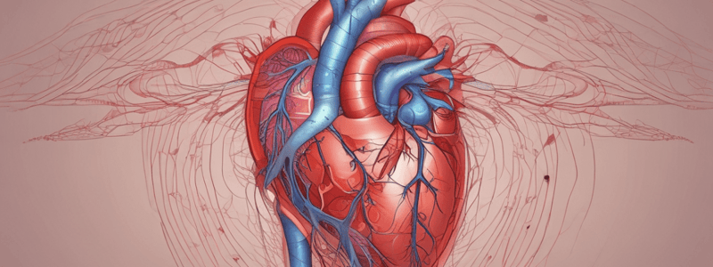 Heart Anatomy and Physiology