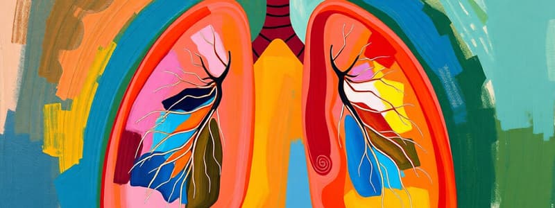 Bio 14.2 Lung Volumes and Capacities