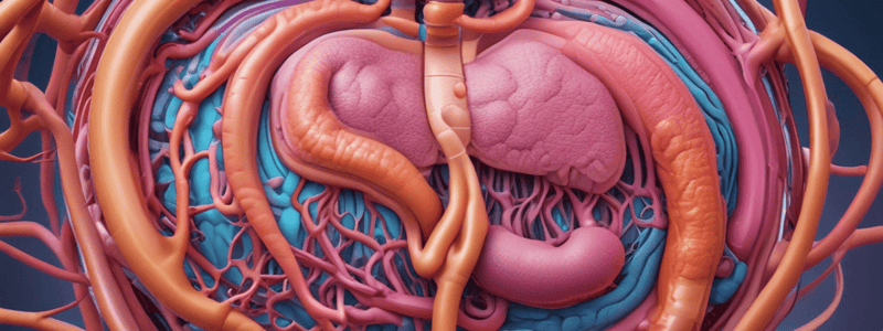 MD124: Gastrointestinal System Abdominal Viscera & Peritoneum Academic Year 2023-2024 Quiz