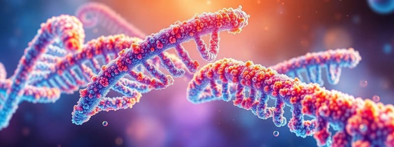 Biology DNA Replication and Protein Synthesis