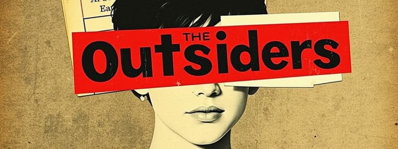 The Outsiders Chapter 6 Quotes Quiz