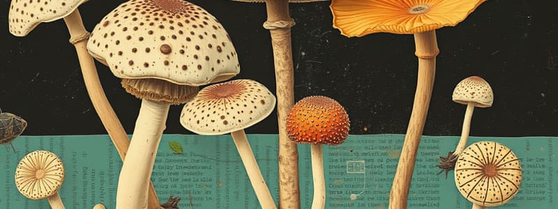 Fungi Kingdom Overview Quiz