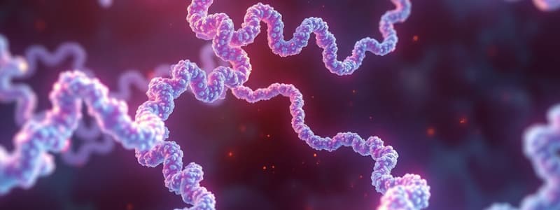 Biochemistry Protein Structure Overview