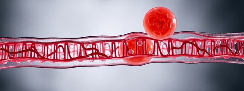 Biology Chapter: Cell Structure and Function