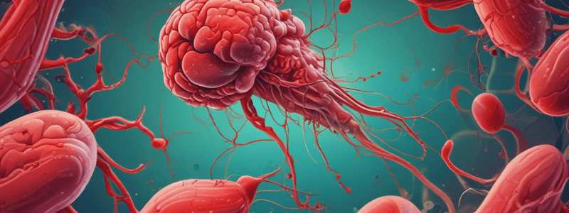 Hemostasis: Stages and Coagulation